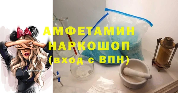 индика Балабаново