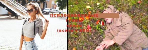индика Балабаново