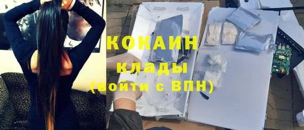 индика Балабаново