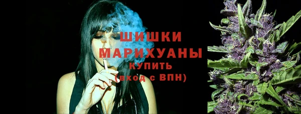 индика Балабаново