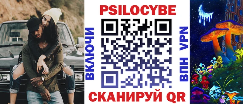 Галлюциногенные грибы Psilocybe  Ленинск 